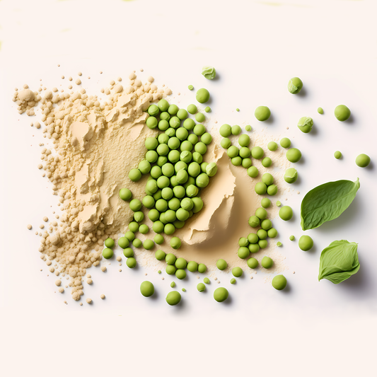 Why Do Vegan Protein Powders Make You Bloated?